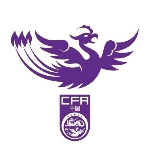  津媒：U17女足明日起兩戰(zhàn)日本定位整體實力，默契度有提升空間